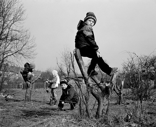 Kinder auf Baumstümpfen, Bitterfeld 1984
